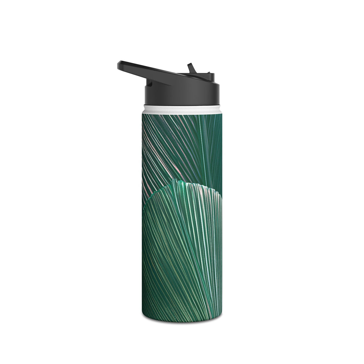 Translucent Fan Palm · Insulated Water Bottle · Teal