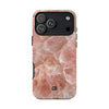 Case