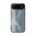 Case