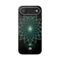 Case