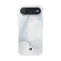 Case