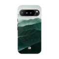 Case