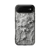 Case