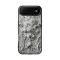 Case