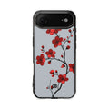 Case