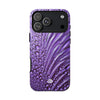 Case