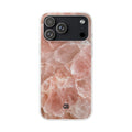 Case