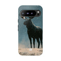 Case