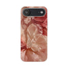 Case