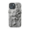 Case