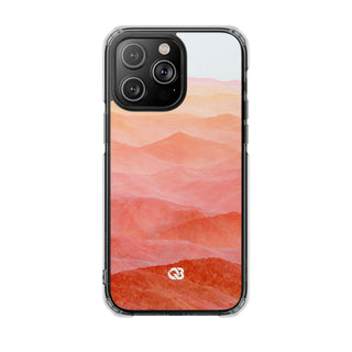 Case