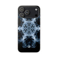 Case