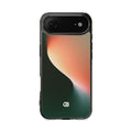 Case