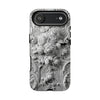 Case