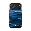 Case