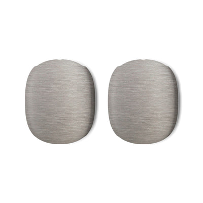 Brushed Silver Alloy · Hard Case for AirPods Max · Silver