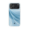Case