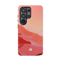 Case