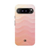 Case