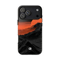 Case