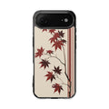 Case