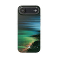 Case
