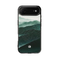 Case