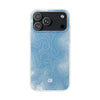 Case