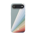 Case
