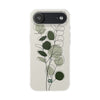 Case