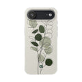 Case